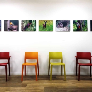 Zeven nieuwe foto&#039;s erbij in de wachtkamer van Centrum De Peel.