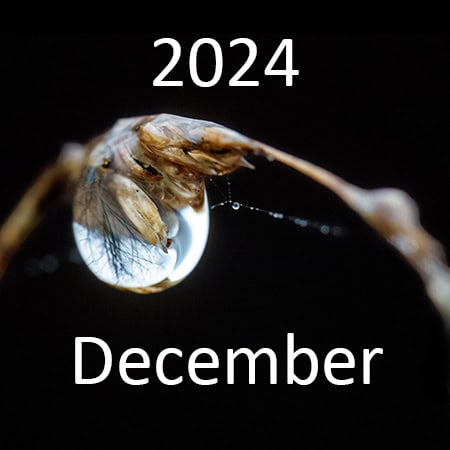 Een maand met veel regen en zwaar bewolkt donker weer.