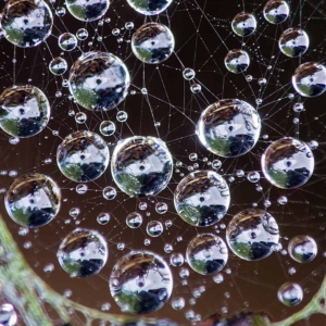 Spinnenweb vol kerstballen.