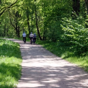 Het is prachtig weer om te fietsen en erg druk op de mooie zandwegen....